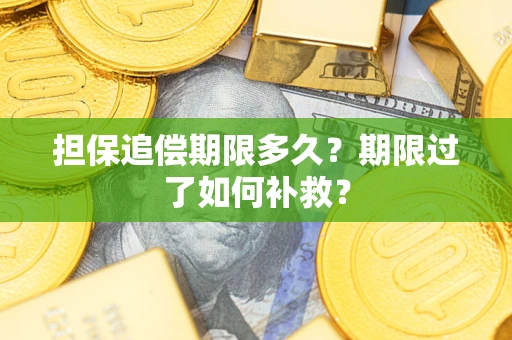 济南担保追偿期限多久？期限过了如何补救？