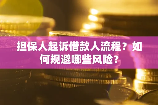 济南担保人起诉借款人流程？如何规避哪些风险？